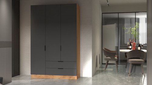 Шкаф на 3 двери  и 2 шухляды ViA- Сити С-18