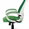 Кресло офисное TPRO-  Briz grееn/whitе E0871