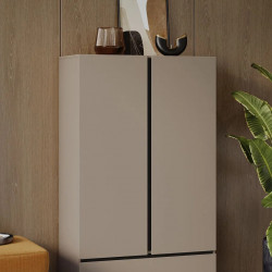 Шкаф на 2 двери с 1 ящиком  Helvetia CROSS S 24CWMY38 (конго-черный)