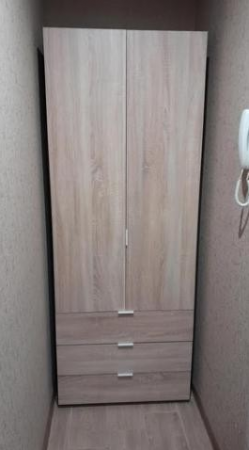 Шкаф для одежды DRS- Гелар (77,5х49,5х203,4) 2 дв  